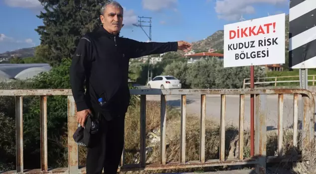 Rabies quarantine in 4 neighborhoods in Hatay, citizens are anxious as they go out.