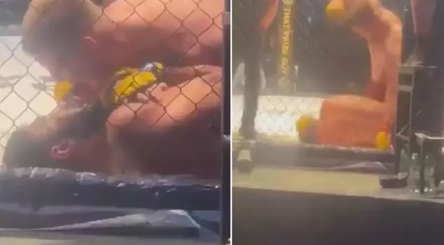 While beating his opponent, whom he had trapped in the cage, he shouted, 