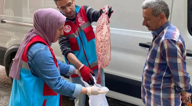 In Sinop, 363 illegally caught sturgeons were distributed to citizens.