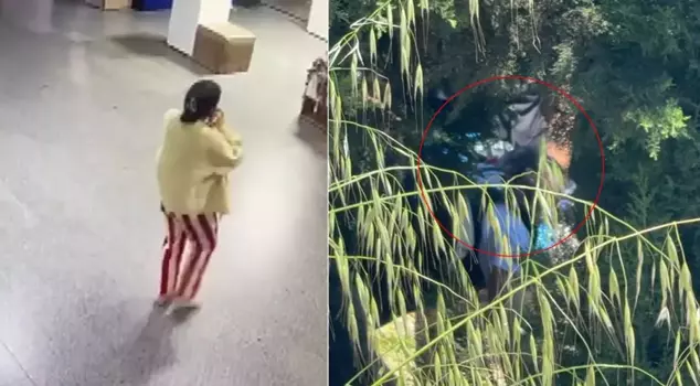 The mother of the baby found in the cemetery turned out to be a university student! Her statement was shocking.