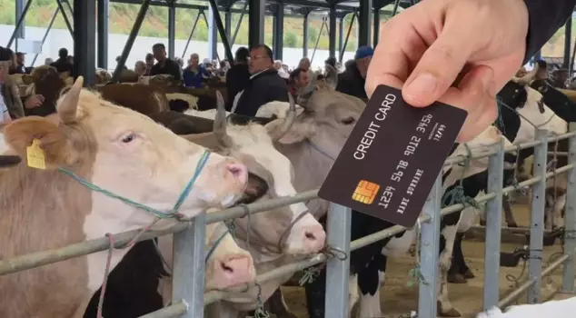 Is it permissible to buy a sacrifice with a credit card? According to the Diyanet, there is only one condition.