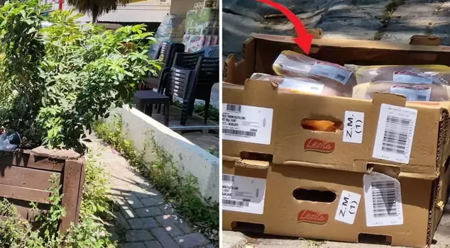 Scandal at the chain supermarket! They left the chickens waiting under the sun.