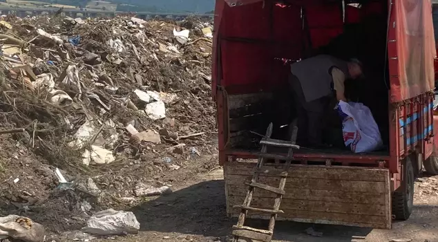 Scandalous practice! The municipality designated the landfill for sacrificial animal sales.