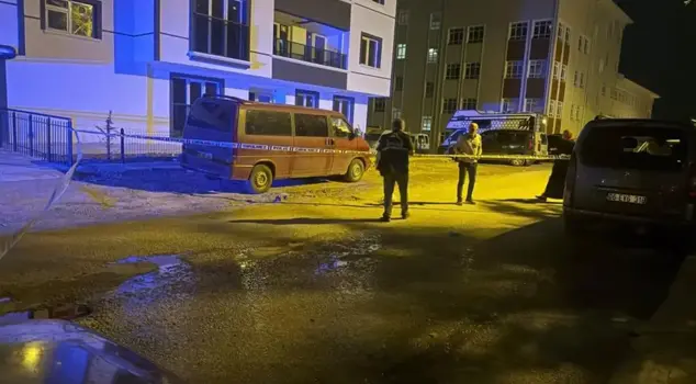 She stabbed her father, who was in the process of divorcing her mother, in the middle of the street.