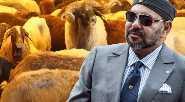 The sacrifice markets in Morocco have been closed! Only the King will perform a symbolic sacrifice.