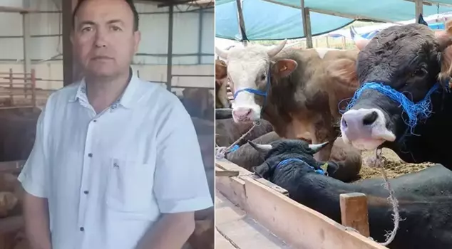 The businessman lost his life while trying to take a photo of the animal he was selling.