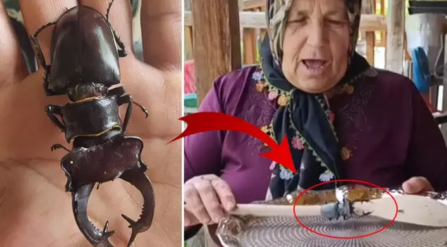 Bu cümleyi Arapçaya şu şekilde çevirebiliriz:


