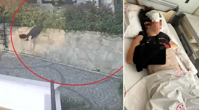 The neighbor dispute ended badly; the woman pushed by the doctor was seriously injured.