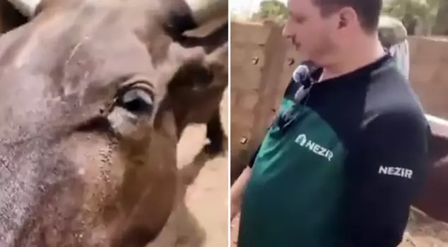 Those who saw it couldn't believe their eyes! Look at the animal they approved for sacrifice, calling it 