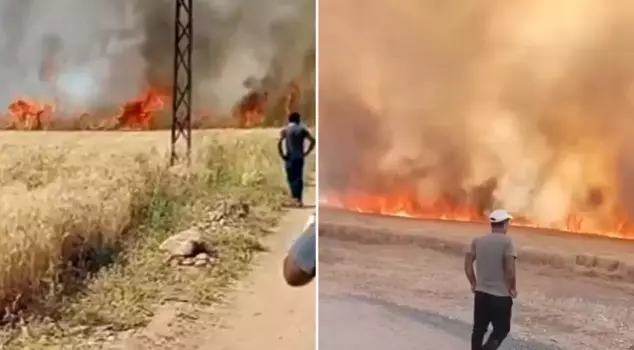 Electric sparks caused a fire, turning 40 acres of wheat to ashes.