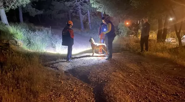 Mysterious incident in Pendik! Entered the forest and was never heard from again.