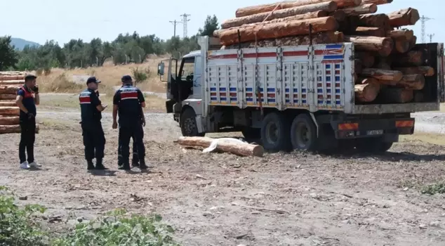 A worker in Gümüşhane died after being struck by a log.