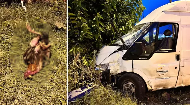 Kazada telef olan horozu hayata döndürmek için kalp masajı yaptı. 

Arapça tercümesi:
