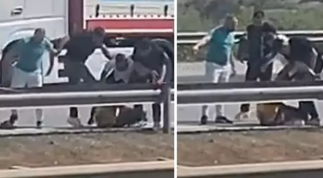 Metnin Arapça tercümesi şu şekildedir:

