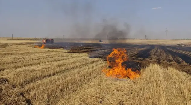 The forest fire in Mardin grew due to the effect of the wind!