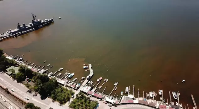 The color of the sea in Izmit Bay has turned brown.