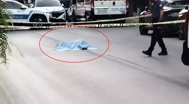The two vehicles passed over the woman lying on the road.