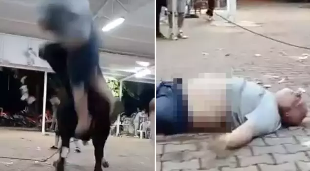 The bull that approached him tossed him into the air.
