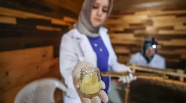 Four friends are selling the royal jelly they produce with their spouses for 45,000 lira per kilogram.