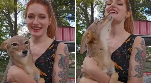 The famous social media influencer and animal rights activist took their own life.
