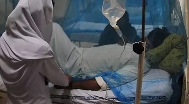 A malaria outbreak in Zimbabwe is at a terrifying scale: 317 people have lost their lives.