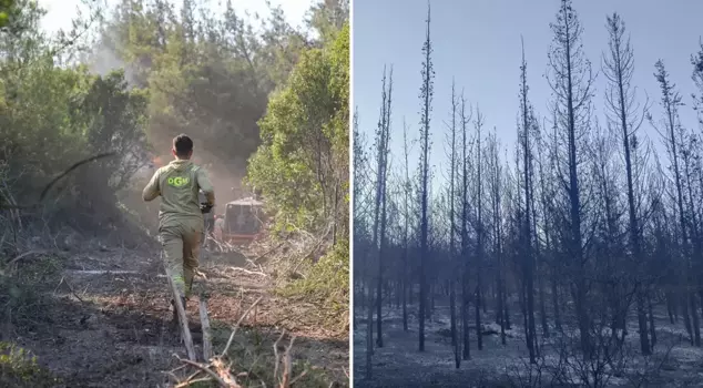 The forest fire in İzmir was brought under control on the second day.
