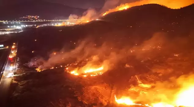 Forest fire again in İzmir: One person detained.