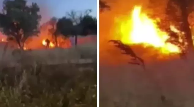 The fireworks set off during the shalwar night entertainment in Bursa caused a fire.
