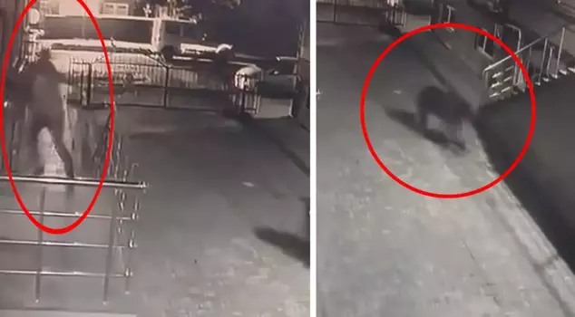 إلى ماذا أصيبوا بالدهشة! حالة من الذعر بسبب الدب الرمادي في حديقة الموقع.