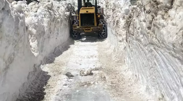 While Turkey is roasting from the heat, the snow depth in Rize has reached 5 meters.