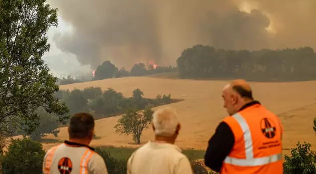 The fight against the flames continues! Here is the latest situation regarding the forest fires.