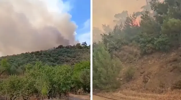 Forest fire in Balıkesir! A neighborhood has been evacuated.