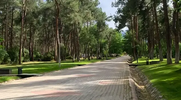 The young man first followed and then harassed the girls sitting in the park.