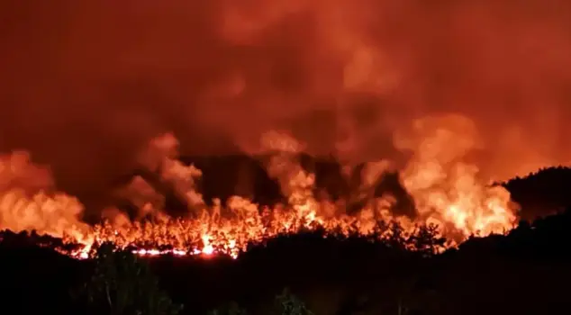 The forest fire in Sakarya has spread to Bilecik! Villages have been evacuated, and soldiers have been deployed to the area.