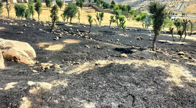Children who wanted to make menemen caused a fire.