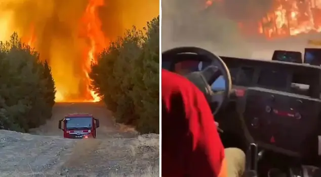 The forest team trapped among the flames was rescued at the last moment.