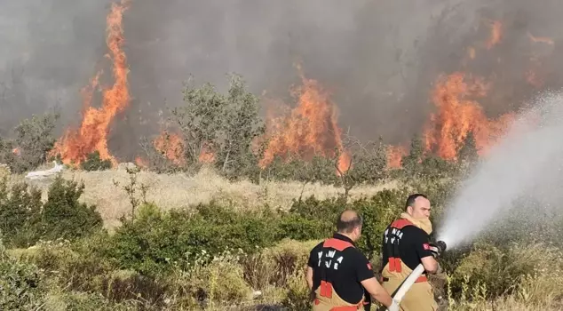 The person responsible for the forest fire in Manisa has been arrested.