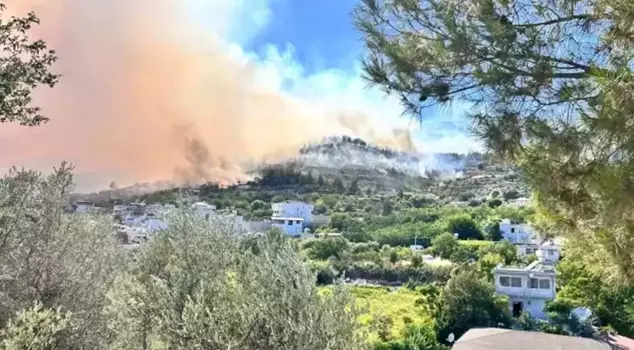 Forest fire in Hatay! 1,800 people were evacuated, 60 houses were damaged.