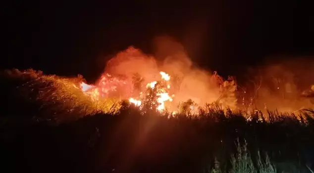 Fire in the Göksu Delta in Mersin
