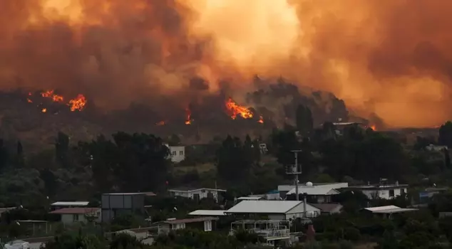 In Seferihisar, flames approached the houses! One neighborhood has been evacuated.