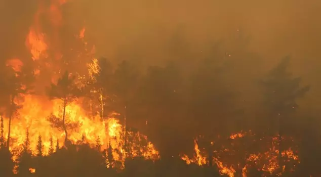 Minister Yumaklı shared the latest situation! Fires in our 3 cities are partially under control.