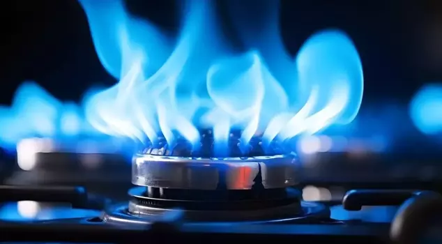 The natural gas price for residential use is 24.6%.
