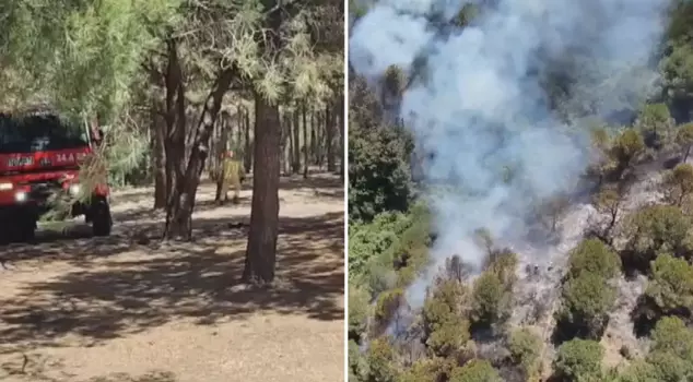 Fire in the urban forest in Istanbul.