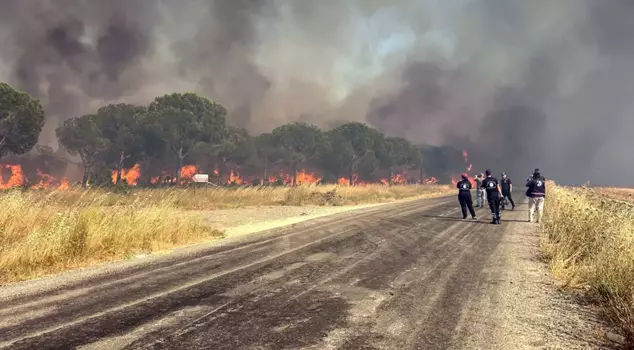 The flames are spreading rapidly in Silivri! 50 households have been evacuated.