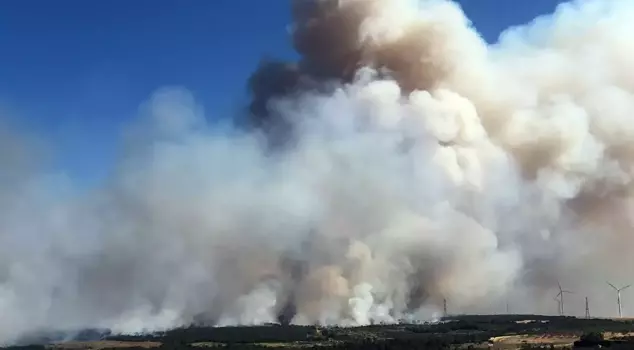 Forest fire in Silivri! Efforts to combat the flames are ongoing.