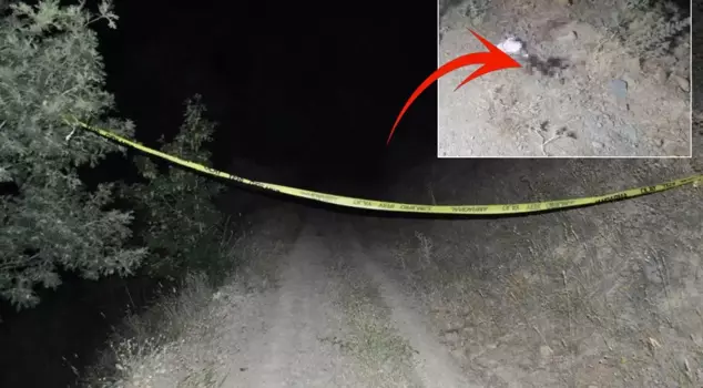 A strange suicide incident! He fled in a stolen vehicle, and when he was caught by the gendarmerie, he took his own life.