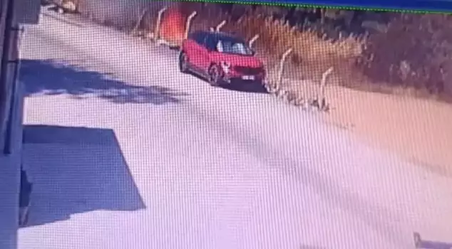The moment the forest fire in Buca broke out has been captured on video.