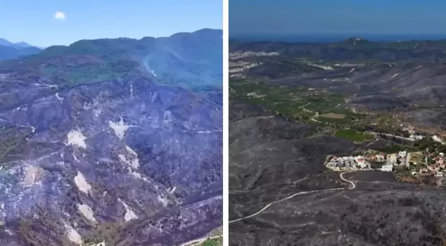 The forests have been reduced to ashes by the fires! Here are the heart-wrenching images.