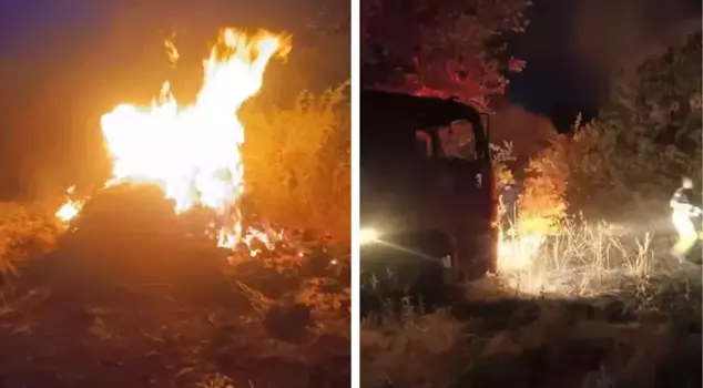 A fire that broke out in a grassy area in Bursa spread to the forest.