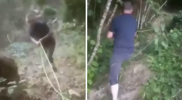 He drilled into the drinking water line to water his garden.
